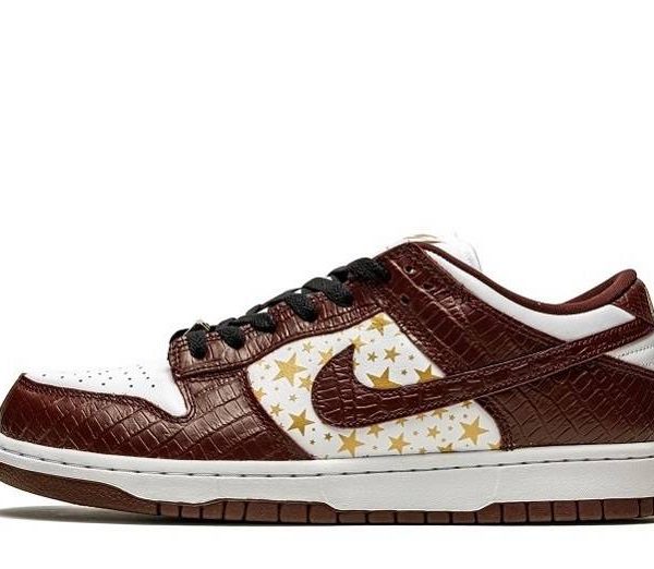 SB Dunk Low Stars "Barkroot Brown"